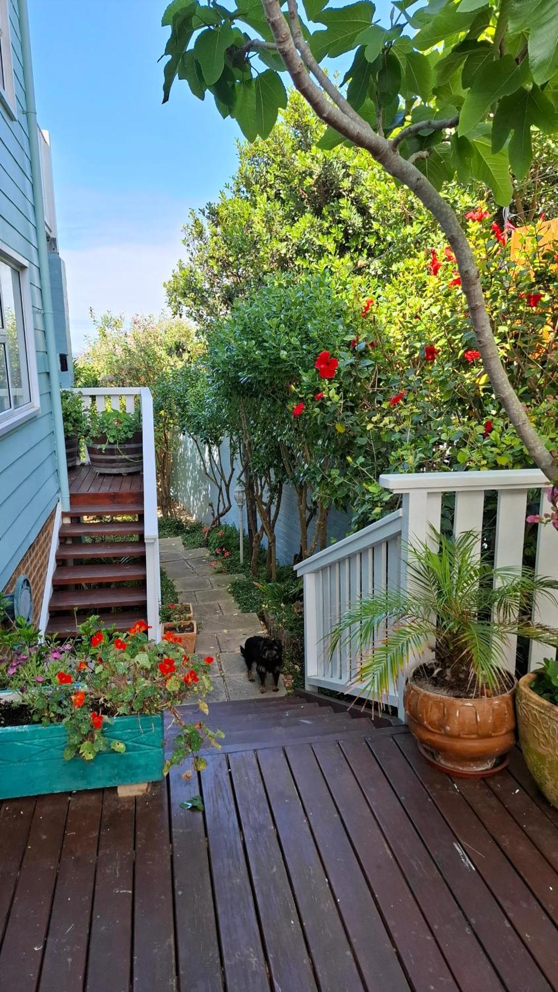 Belle Vue Guesthouse 赫曼努斯 外观 照片
